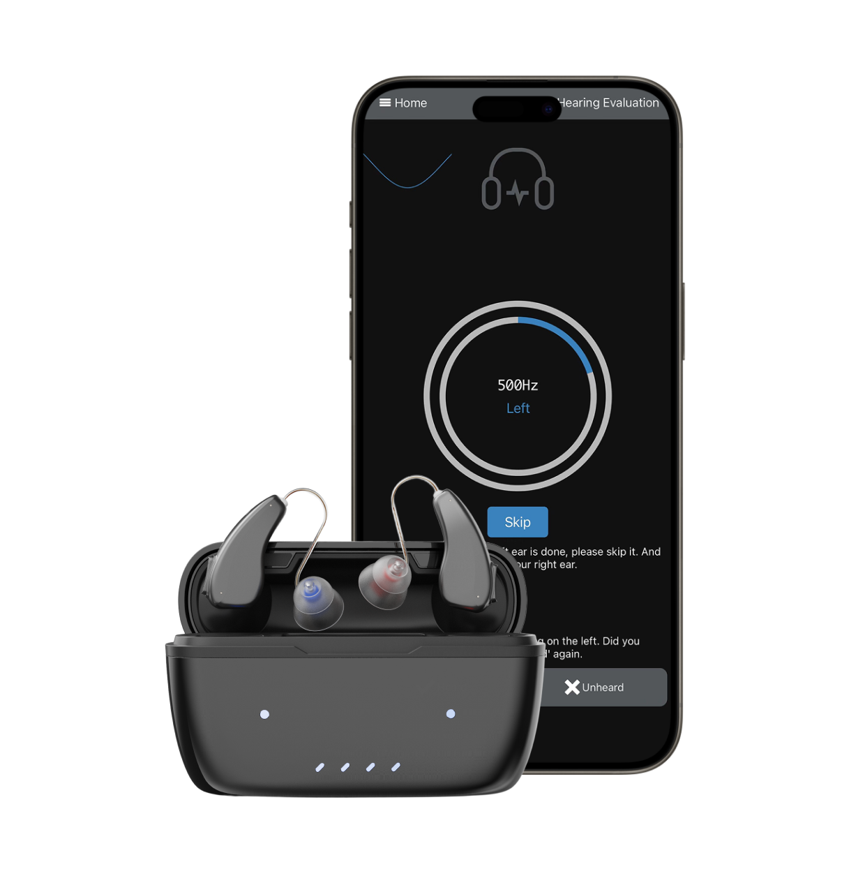 Didasou OTC RIC Hearing Aid